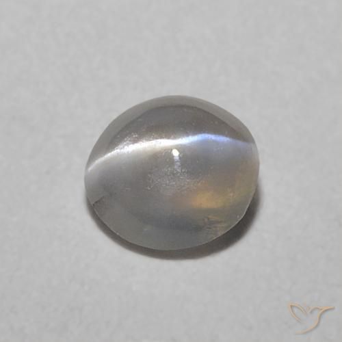 Crisoberilo Olho de Gato Cinza muito claro Natural 0.32ct, oval, Translúcido