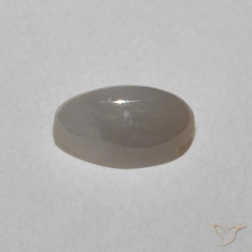 Crisoberilo Olho de Gato Cinza muito claro Natural 0.77ct, oval, Translúcido