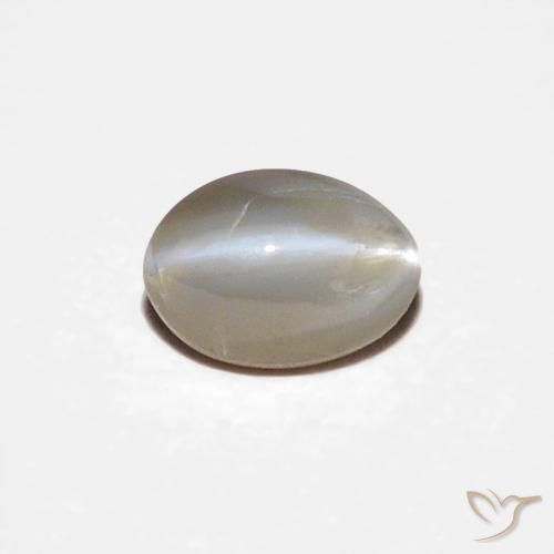 Crisoberilo Olho de Gato Cinza muito claro Natural 0.34ct, oval, Opaco