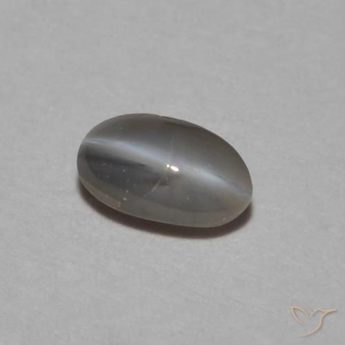 Crisoberilo Olho de Gato Cinza prateado Natural 0.26ct, oval, Opaco
