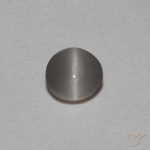 Chrysoberyl cat's eye cinza natural 0,15ct, corte oval, opaco