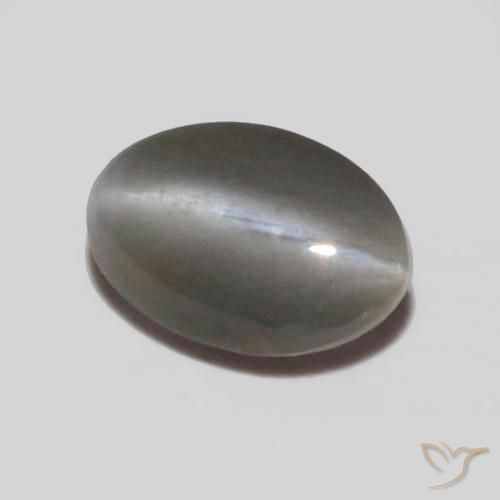 Crisoberilo Olho de Gato cinza médio Natural 0.25ct, oval, Opaco