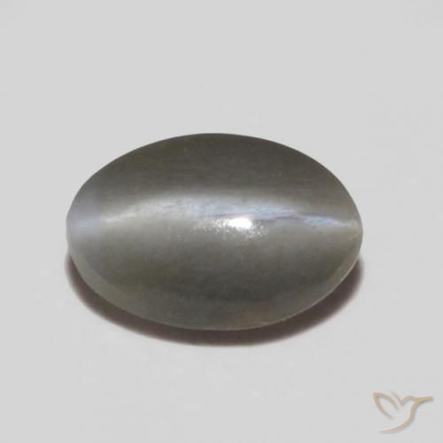 Crisoberilo Olho de Gato cinza médio Natural 0.25ct, oval, Opaco