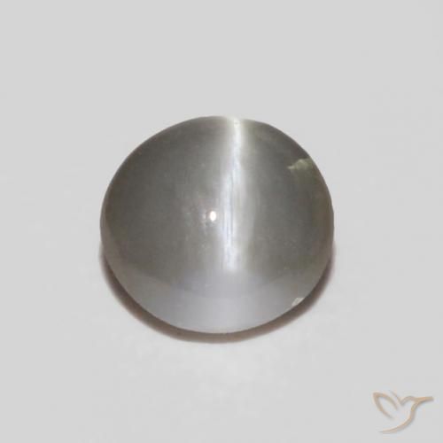 Crisoberilo Olho de Gato cinza médio Natural 0.24ct, oval, Opaco