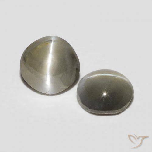 Pedras preciosas de Crisoberilo Olho de Gato Cinza muito claro natural de 0.38 ct, Corte Oval, Opaco