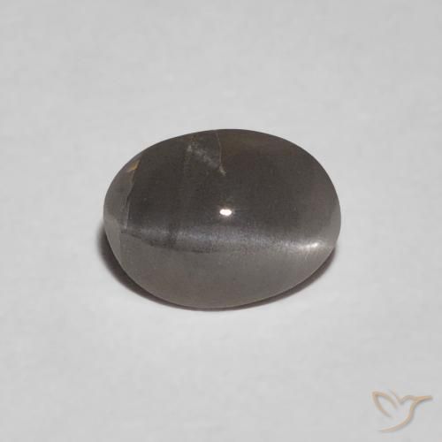 Crisoberilo Olho de Gato cinza médio Natural 0.47ct, oval, Opaco