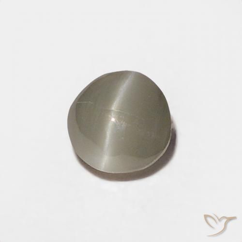 Crisoberilo Olho de Gato Cinza muito claro Natural 0.20ct, Redondo, Opaco