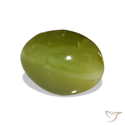 Crisoberilo Olho de Gato Verde floresta Natural 5.24ct, oval, Opaco