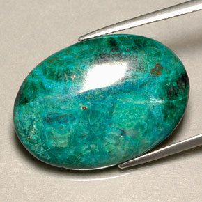 Crisocola multicolorido natural 19,56ct, corte oval, opaco