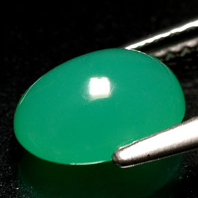 Crisoprásio verde natural 1,69ct, transparente, transparente/translúcido