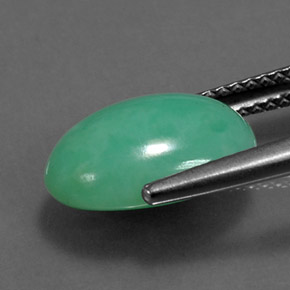 Crisoprásio verde natural 4,43ct, corte oval, opaco