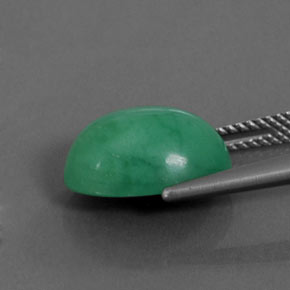 Crisoprásio verde natural 5,69ct, corte oval, opaco