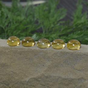 Pedras preciosas de citrino amarelo natural de 11,14 ct, corte redondo, transparente