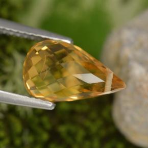 Citrino amarelo natural 3,48ct, briolete, VS
