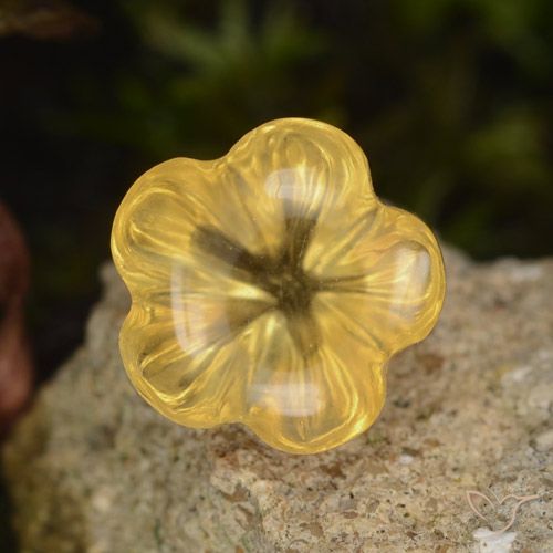 1.47ct Natural Medium Gold  Citrino, Flor cortada, Transparente