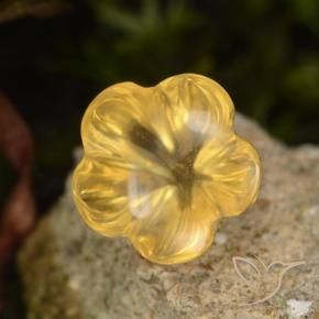 Citrino Medium Gold  Natural 1.47ct, Flor cortada, Transparente