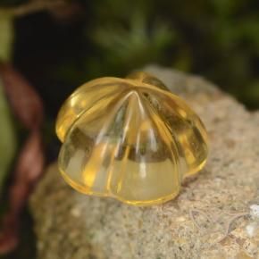 Citrino Medium Gold  Natural 1.47ct, Flor cortada, Transparente