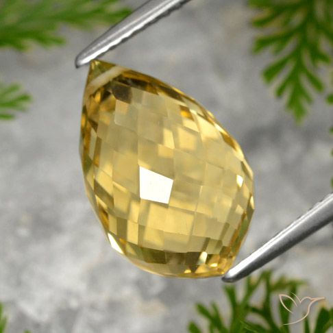 8.48ct Natural Dourado médio Citrino, Briolette, VVS