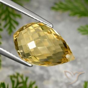 Citrino Dourado médio Natural 8.48ct, Briolette, VVS