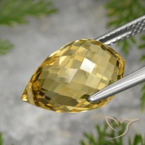 Citrino Dourado médio Natural 8.48ct, Briolette, VVS