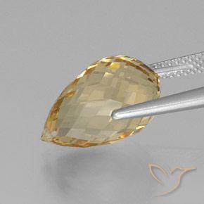 Citrino Dourado-Laranja Natural 8.79ct, Briolette, VVS
