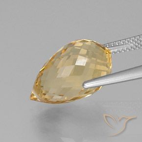 Citrino Laranja Dourada Natural 8.53ct, Briolette, VVS