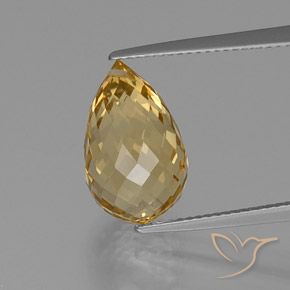 Citrino dourado natural 7,94ct, briolete, VVS