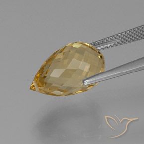 Citrino dourado natural 7,94ct, briolete, VVS