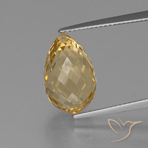 Citrino dourado natural 7,90ct, briolete, VVS-VS