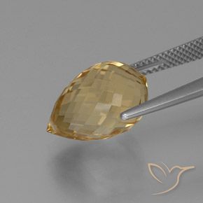 Citrino Laranja Dourada Natural 8.29ct, Briolette, VVS