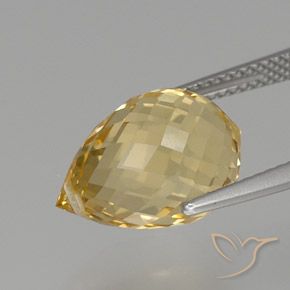 Citrino Dourado Natural 7.97ct, Briolette, VS