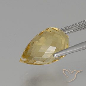 Citrino dourado natural 8,08ct, briolete, VVS-VS