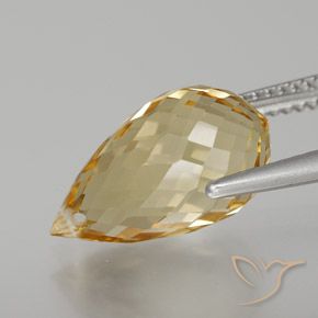 Citrino Ouro Natural 6.56ct, Briolette, VVS