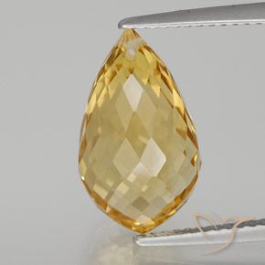 6.82ct Natural Ouro Médio-claro Citrino, Briolette, VVS