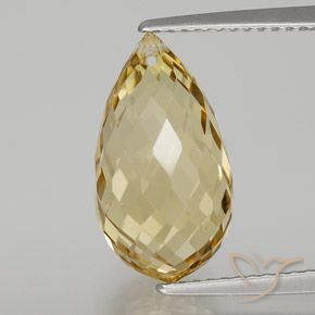 6.65ct Natural Dourado Citrino, Briolette, VVS