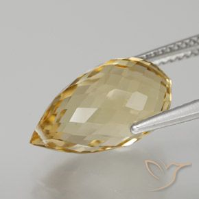 Citrino Dourado Natural 6.65ct, Briolette, VVS