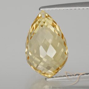 6.70ct Natural Dourado claro Citrino, Briolette, VVS