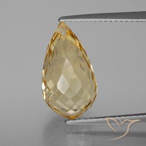 7.22ct Natural Dourado Citrino, Briolette, VVS