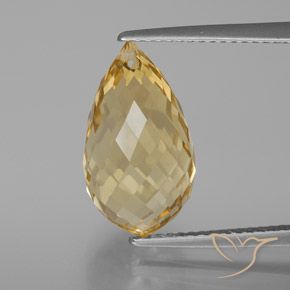 7.35ct Natural Dourado claro Citrino, Briolette, VVS
