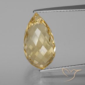 7.30ct Natural Dourado claro Citrino, Briolette, VVS-VS