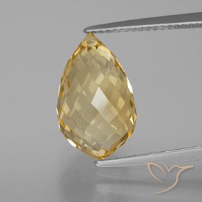 7.56ct Natural Dourado Castanho Claro Citrino, Briolette, VVS