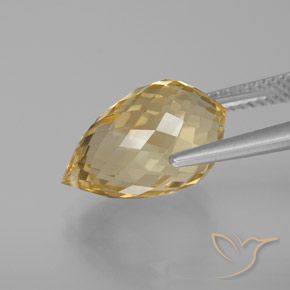 Citrino Dourado Castanho Claro Natural 7.56ct, Briolette, VVS