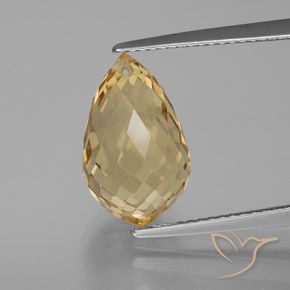 6.27ct Natural Laranja Dourada Citrino, Briolette, VVS-VS