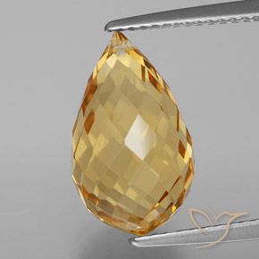 6.21ct Natural Dourado Citrino, Briolette, VVS