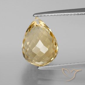 5.41ct Natural Dourado-Laranja Citrino, Briolette, VVS-VS