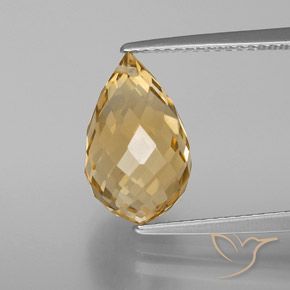 5.05ct Natural Dourado Citrino, Briolette, VVS-VS
