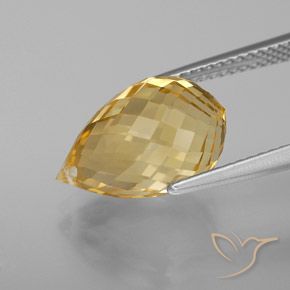 Citrino Laranja Dourada Natural 6.52ct, Briolette, VVS