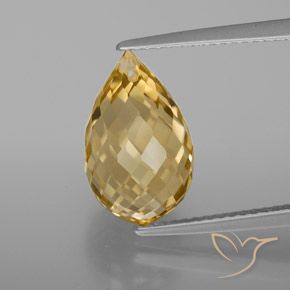 6.04ct Natural Ouro Médio-claro Citrino, Briolette, VVS