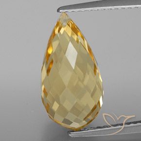 5.81ct Natural Dourado Citrino, Briolette, VVS