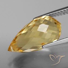 Citrino Dourado Natural 5.81ct, Briolette, VVS